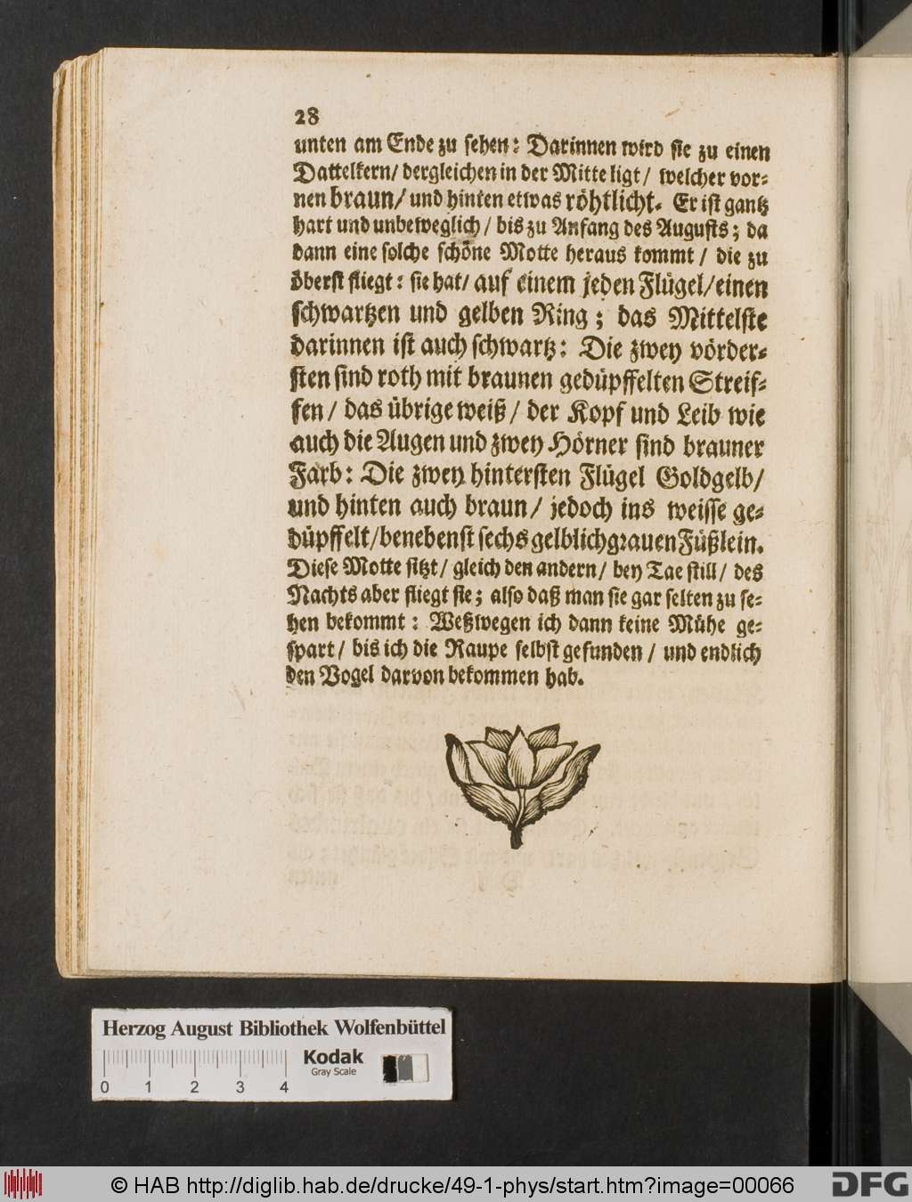 http://diglib.hab.de/drucke/49-1-phys/00066.jpg