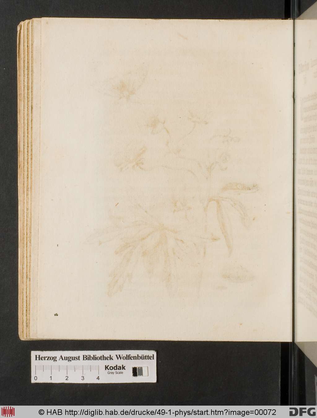 http://diglib.hab.de/drucke/49-1-phys/00072.jpg