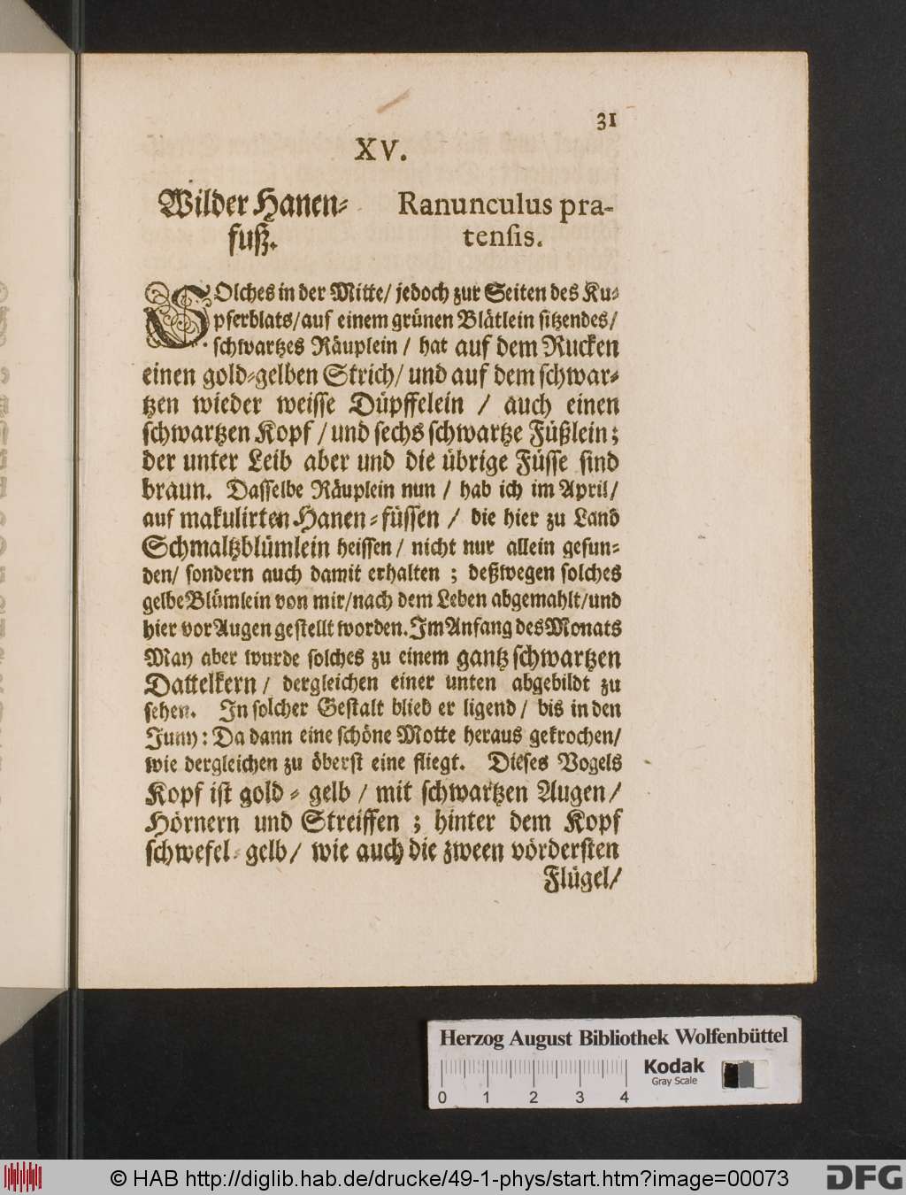 http://diglib.hab.de/drucke/49-1-phys/00073.jpg