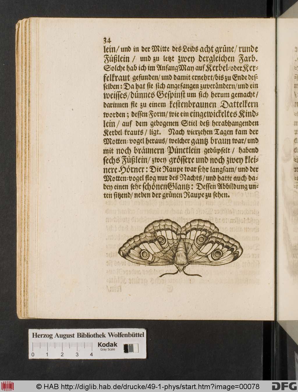 http://diglib.hab.de/drucke/49-1-phys/00078.jpg