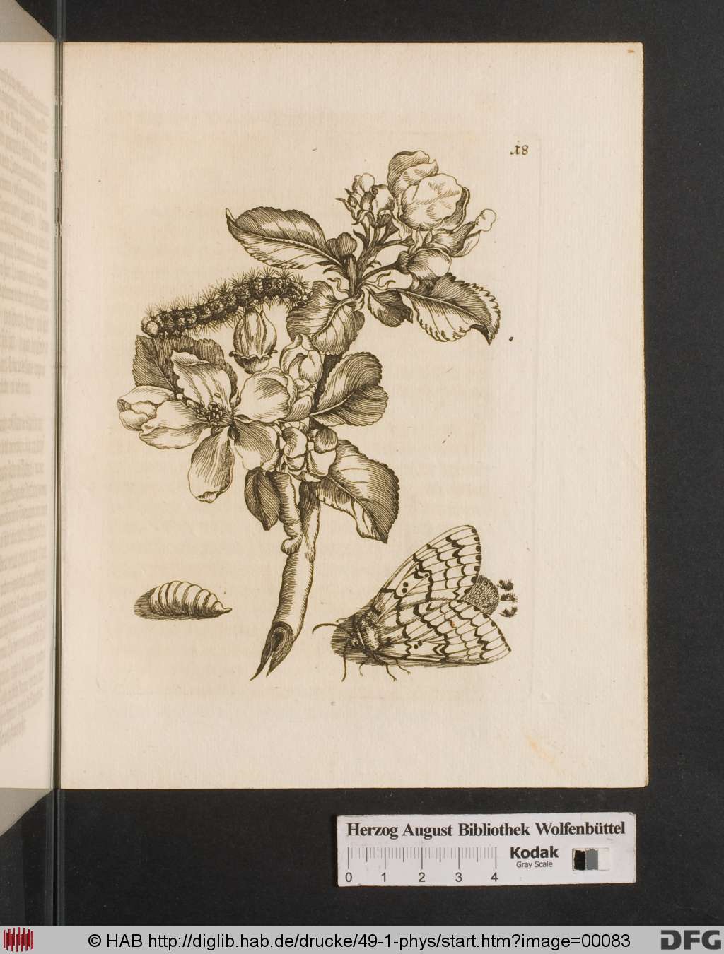 http://diglib.hab.de/drucke/49-1-phys/00083.jpg