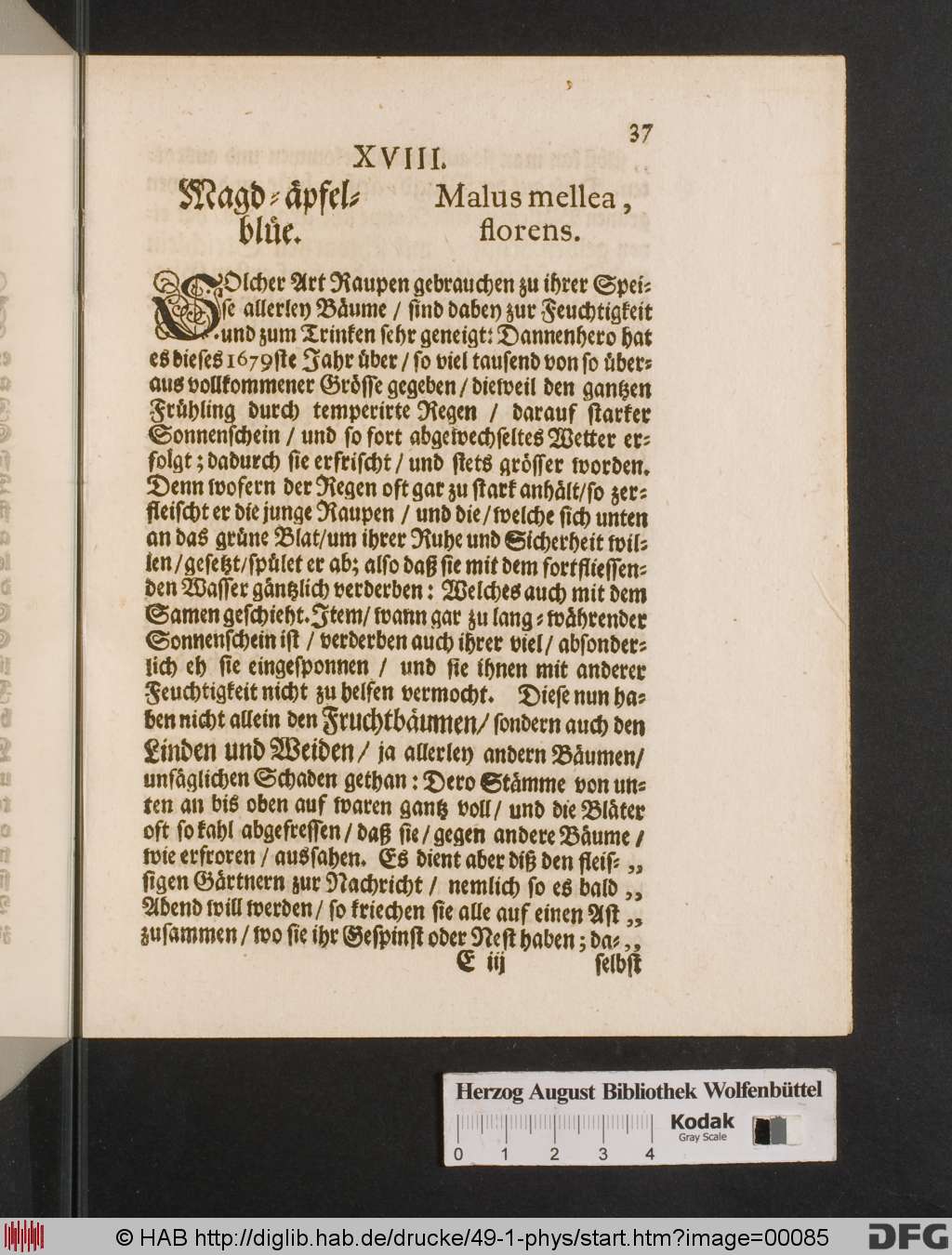 http://diglib.hab.de/drucke/49-1-phys/00085.jpg