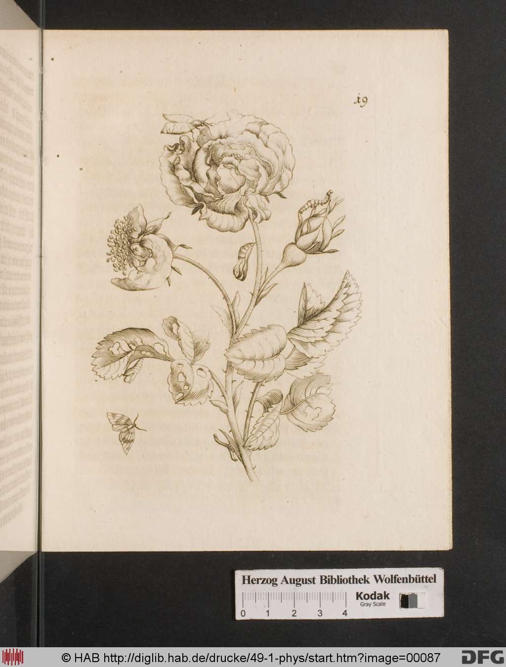 http://diglib.hab.de/drucke/49-1-phys/00087.jpg