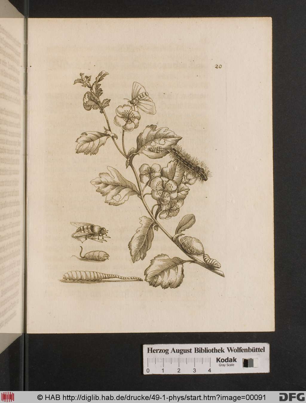 http://diglib.hab.de/drucke/49-1-phys/00091.jpg