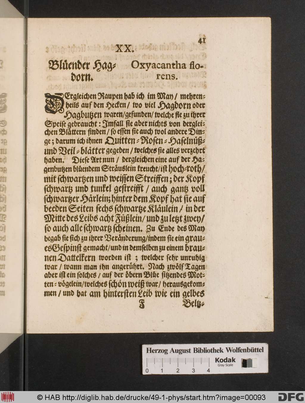 http://diglib.hab.de/drucke/49-1-phys/00093.jpg