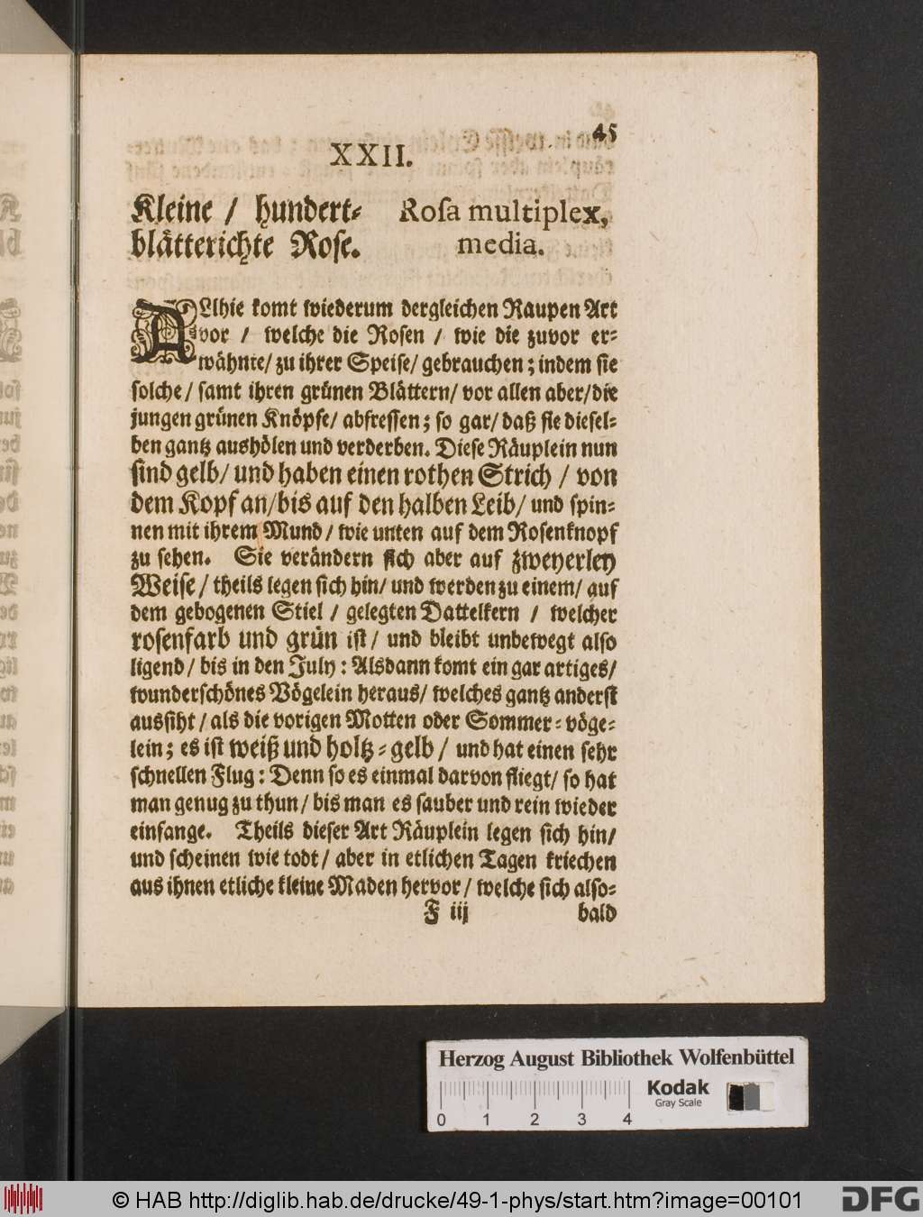 http://diglib.hab.de/drucke/49-1-phys/00101.jpg