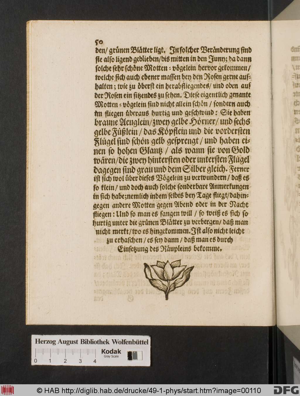 http://diglib.hab.de/drucke/49-1-phys/00110.jpg