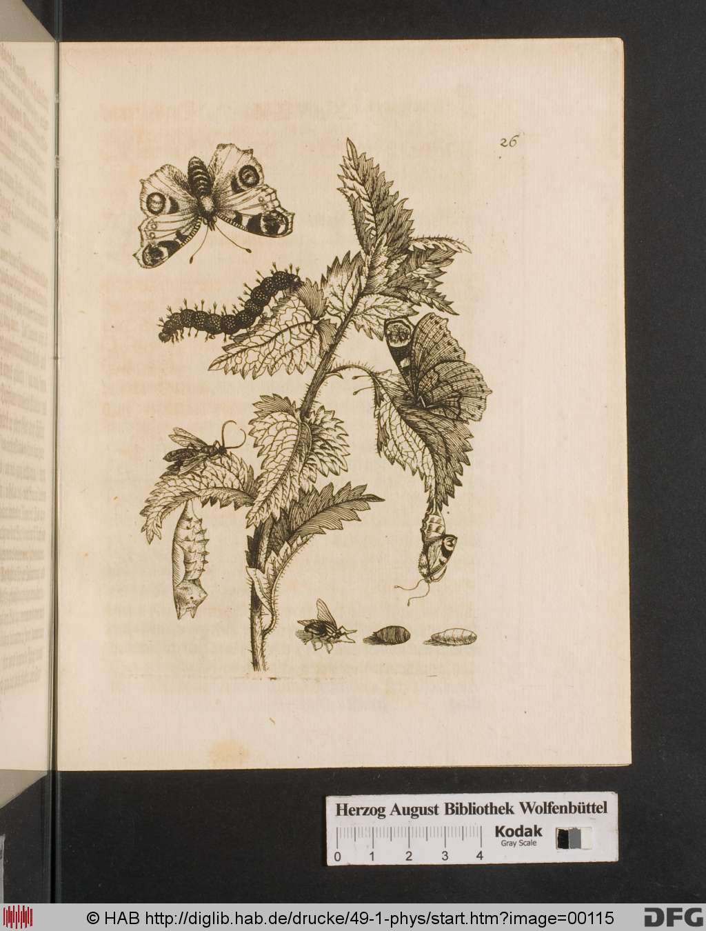 http://diglib.hab.de/drucke/49-1-phys/00115.jpg