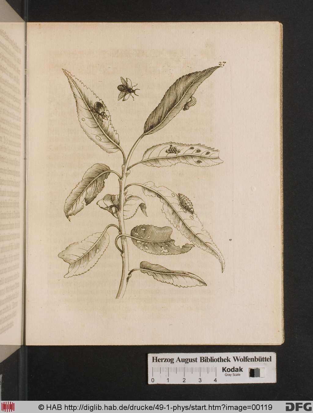 http://diglib.hab.de/drucke/49-1-phys/00119.jpg