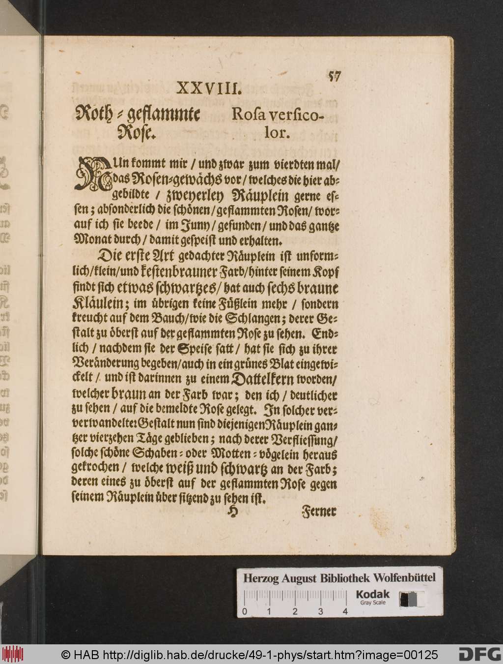 http://diglib.hab.de/drucke/49-1-phys/00125.jpg
