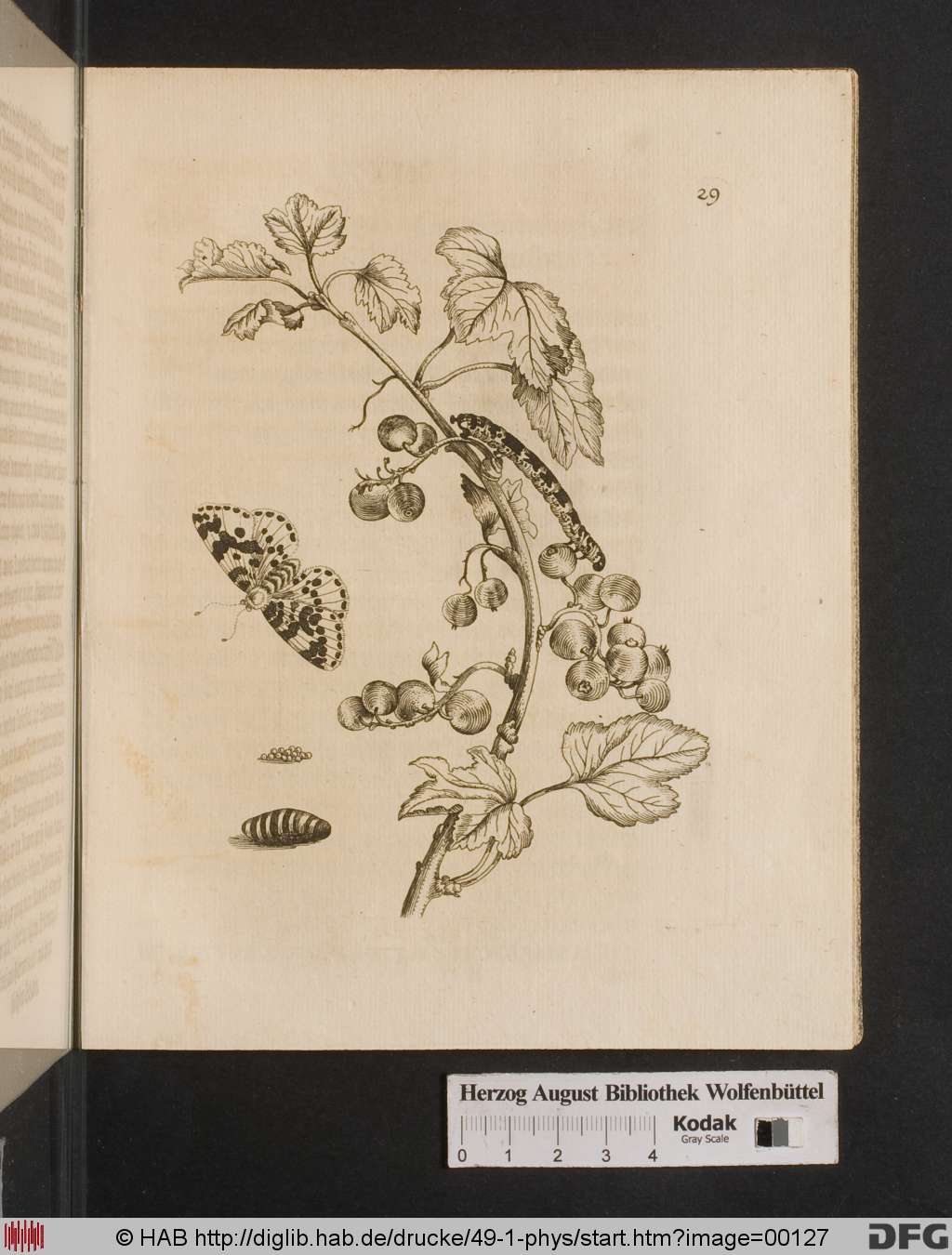 http://diglib.hab.de/drucke/49-1-phys/00127.jpg