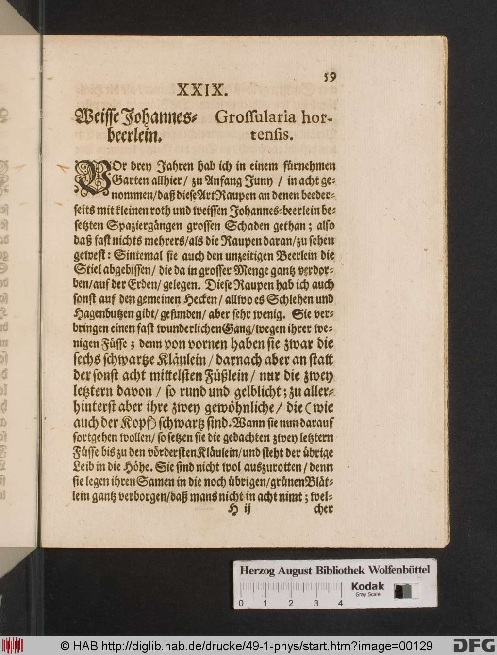 http://diglib.hab.de/drucke/49-1-phys/00129.jpg
