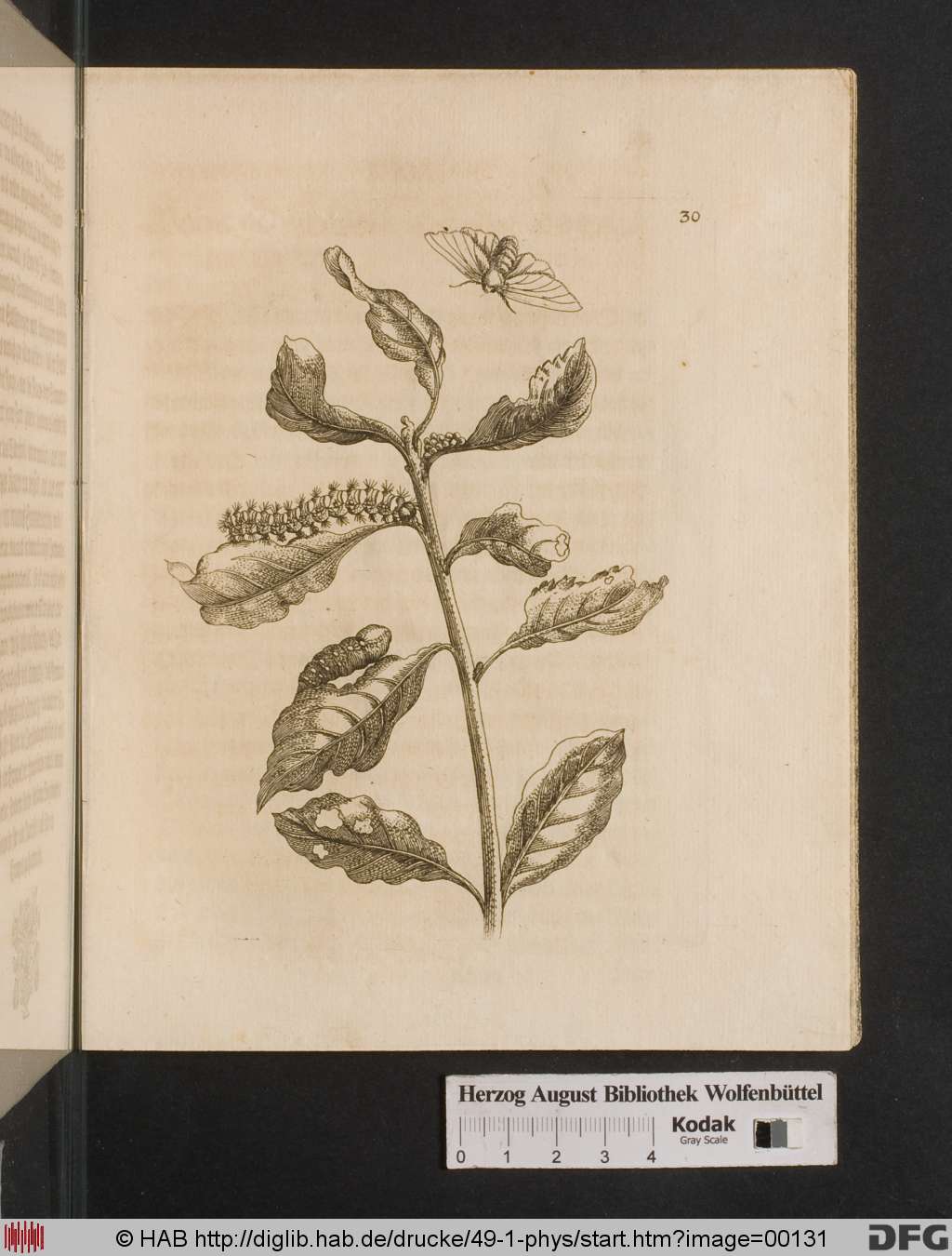 http://diglib.hab.de/drucke/49-1-phys/00131.jpg