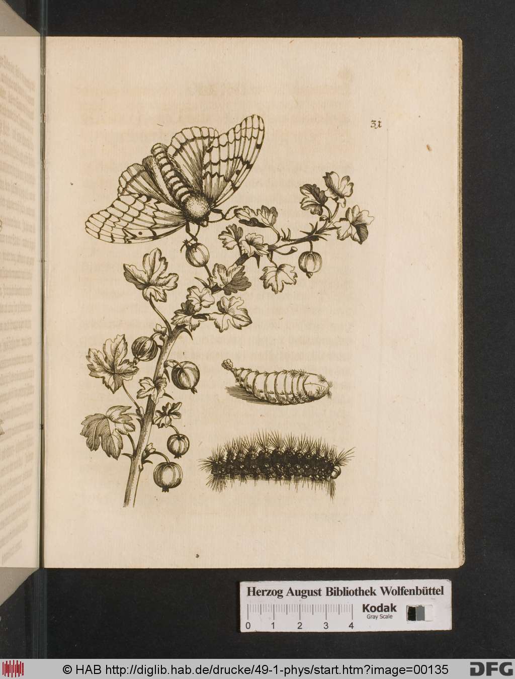 http://diglib.hab.de/drucke/49-1-phys/00135.jpg