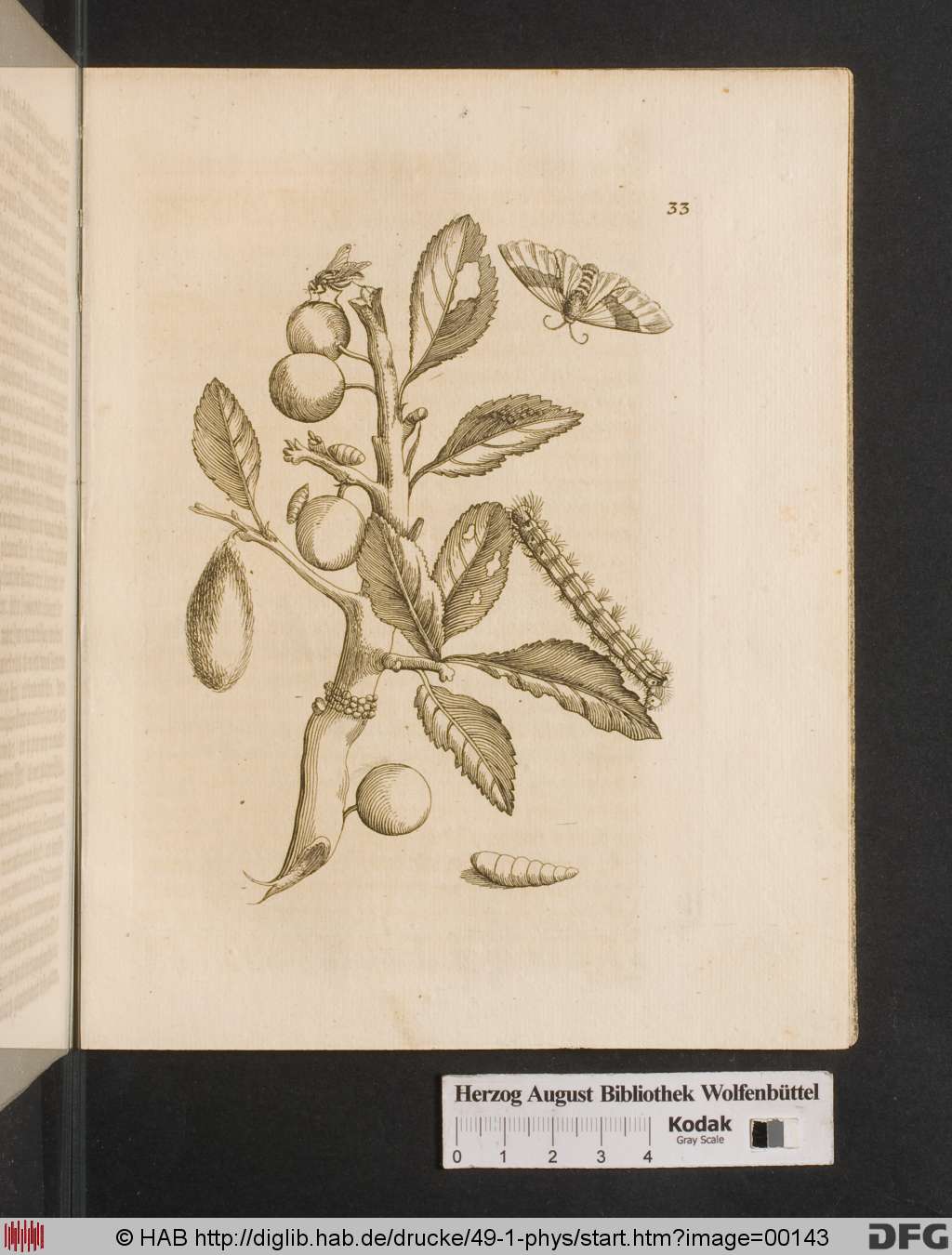 http://diglib.hab.de/drucke/49-1-phys/00143.jpg
