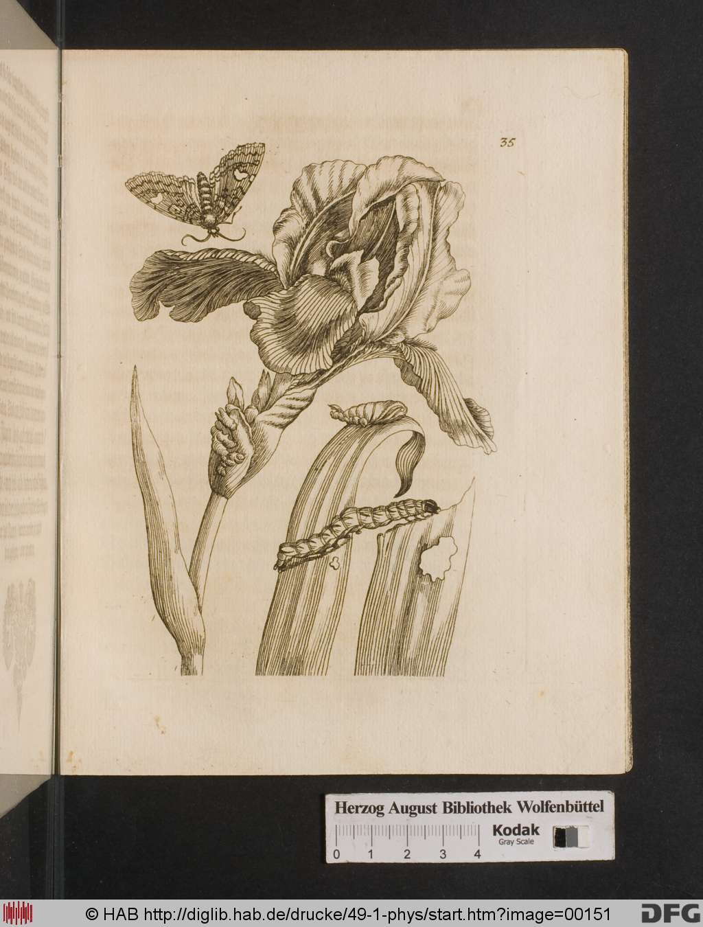 http://diglib.hab.de/drucke/49-1-phys/00151.jpg