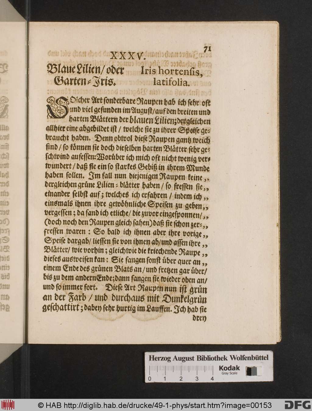 http://diglib.hab.de/drucke/49-1-phys/00153.jpg
