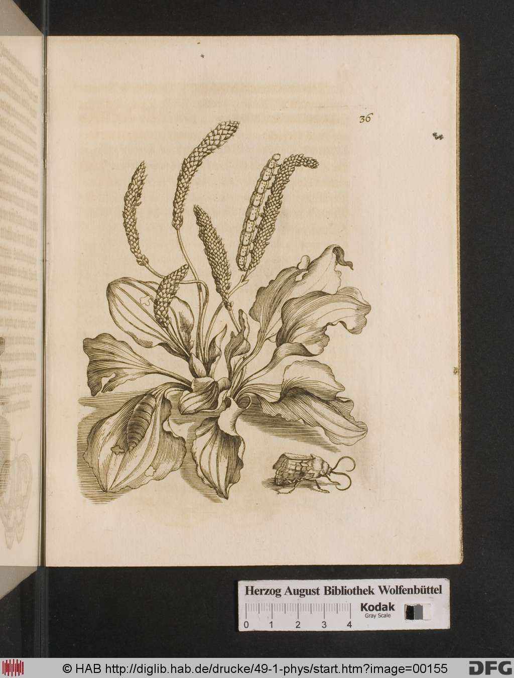 http://diglib.hab.de/drucke/49-1-phys/00155.jpg