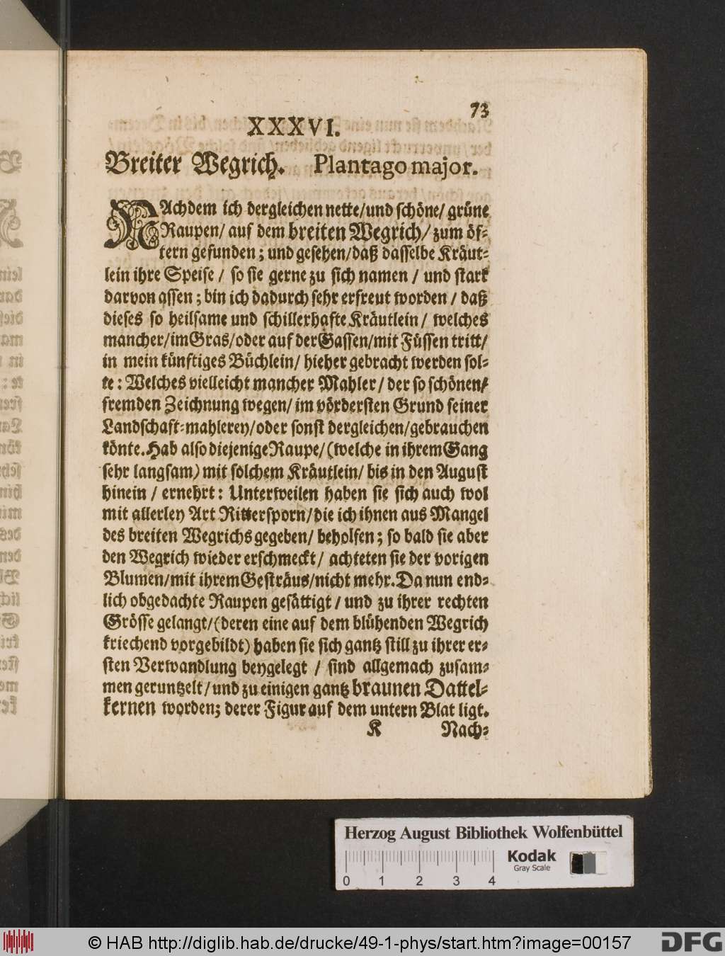 http://diglib.hab.de/drucke/49-1-phys/00157.jpg