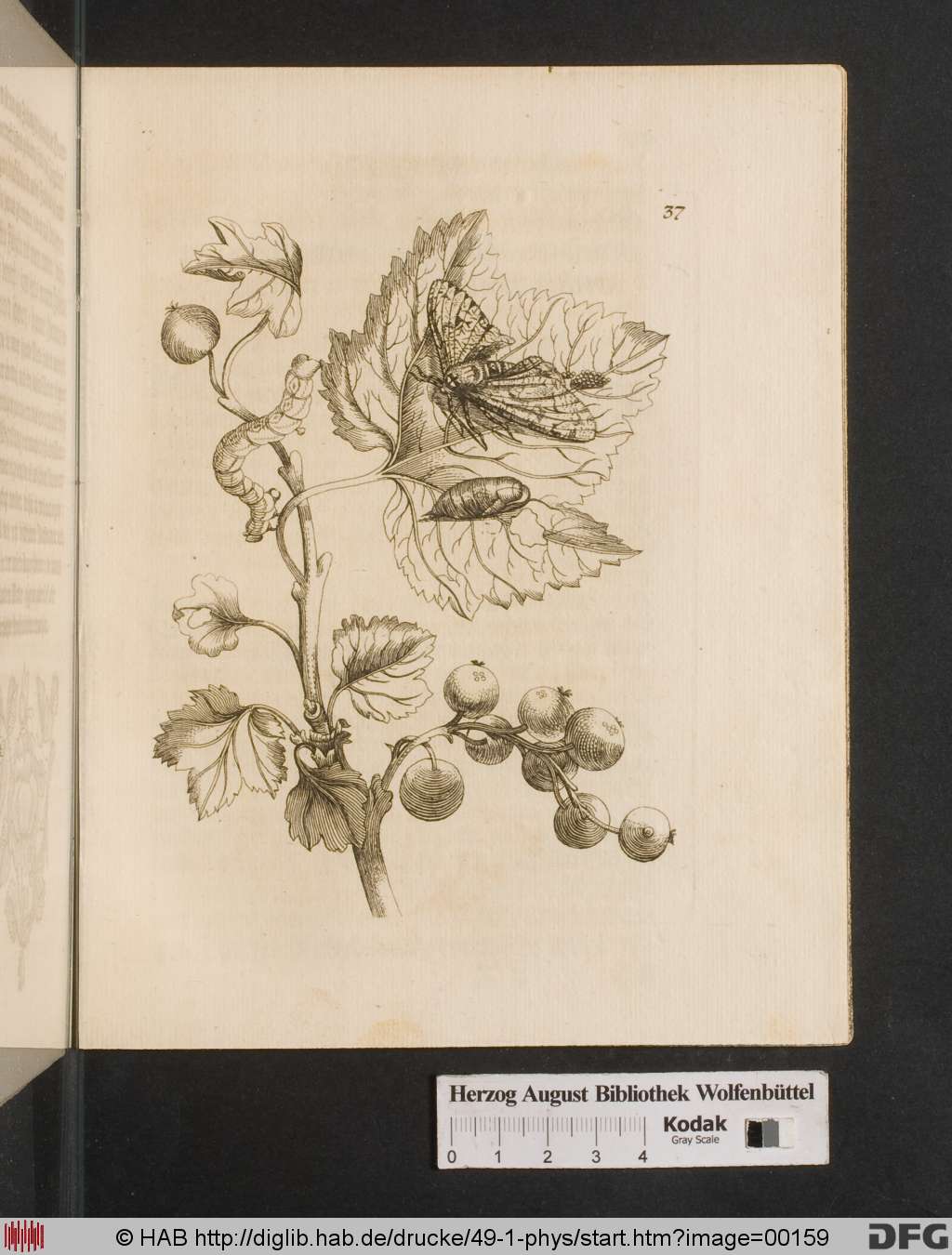 http://diglib.hab.de/drucke/49-1-phys/00159.jpg