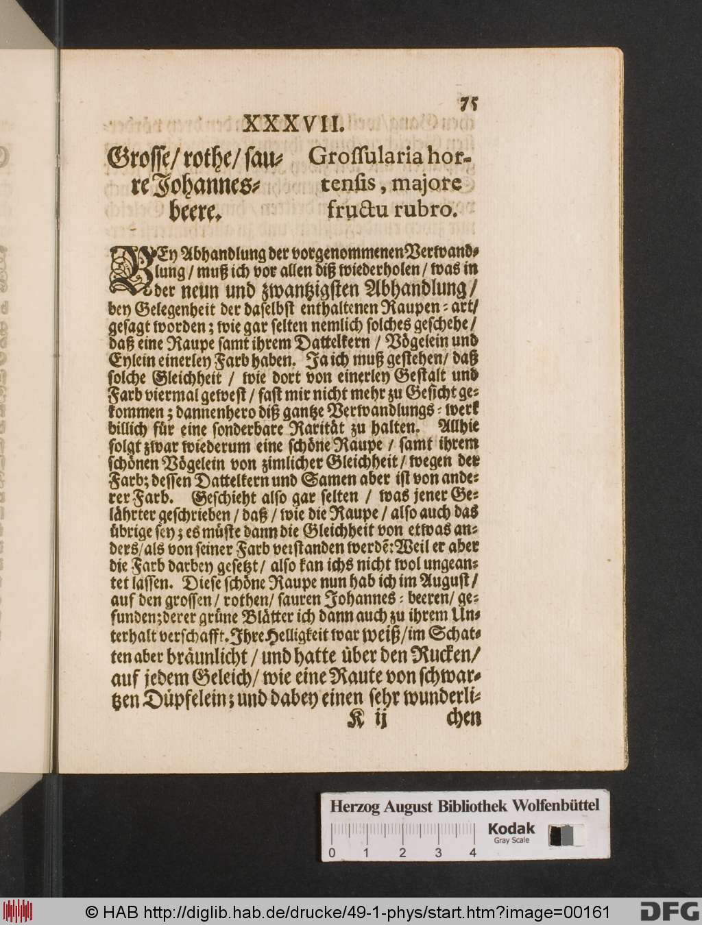 http://diglib.hab.de/drucke/49-1-phys/00161.jpg