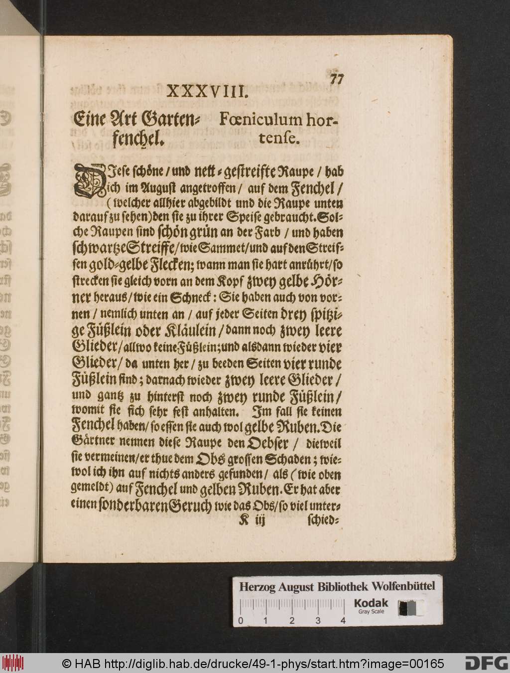 http://diglib.hab.de/drucke/49-1-phys/00165.jpg