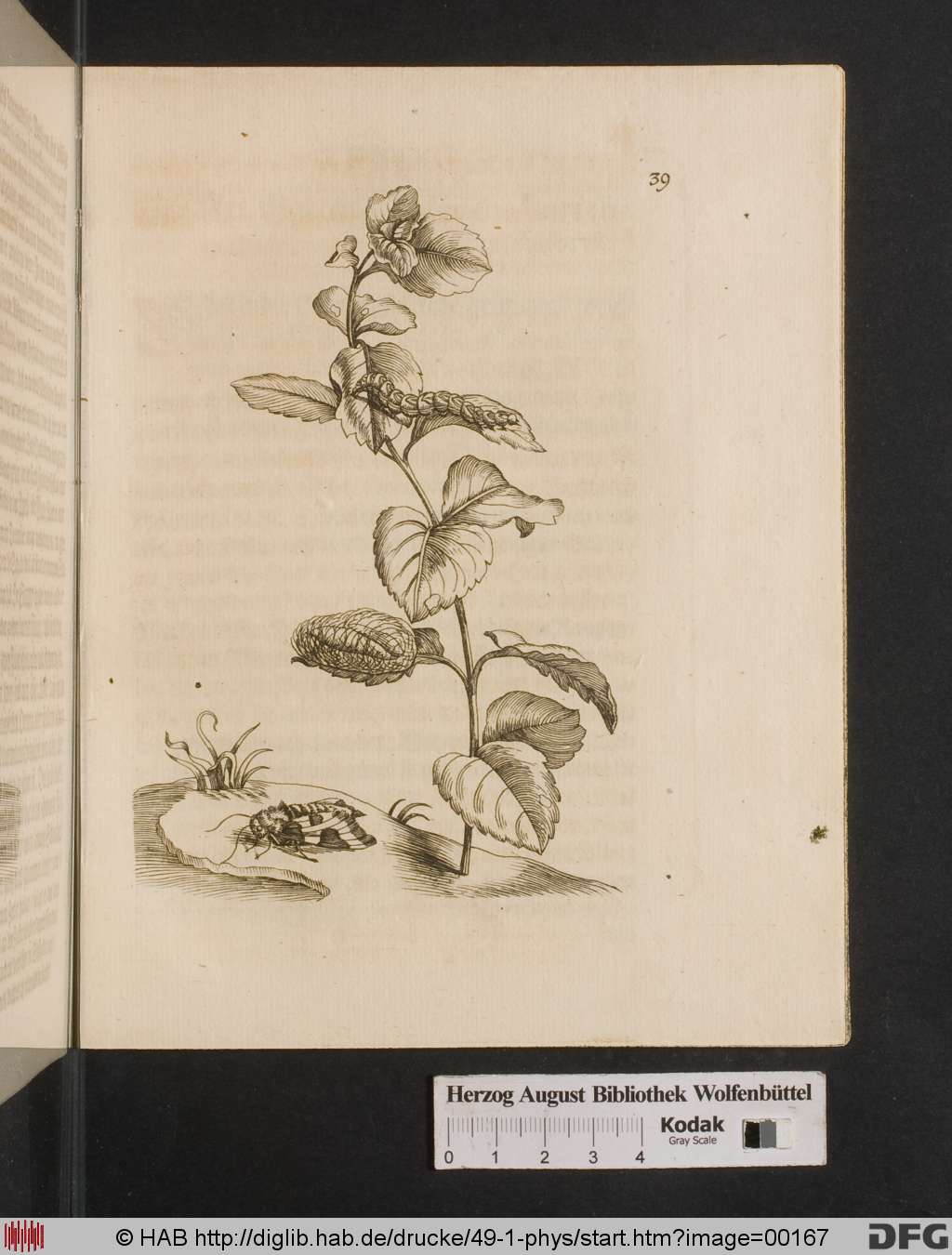 http://diglib.hab.de/drucke/49-1-phys/00167.jpg