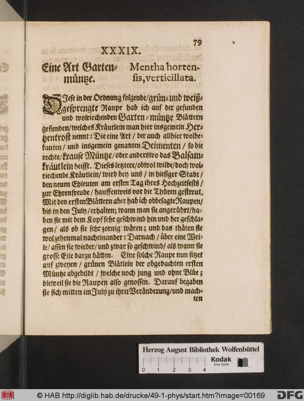 http://diglib.hab.de/drucke/49-1-phys/00169.jpg