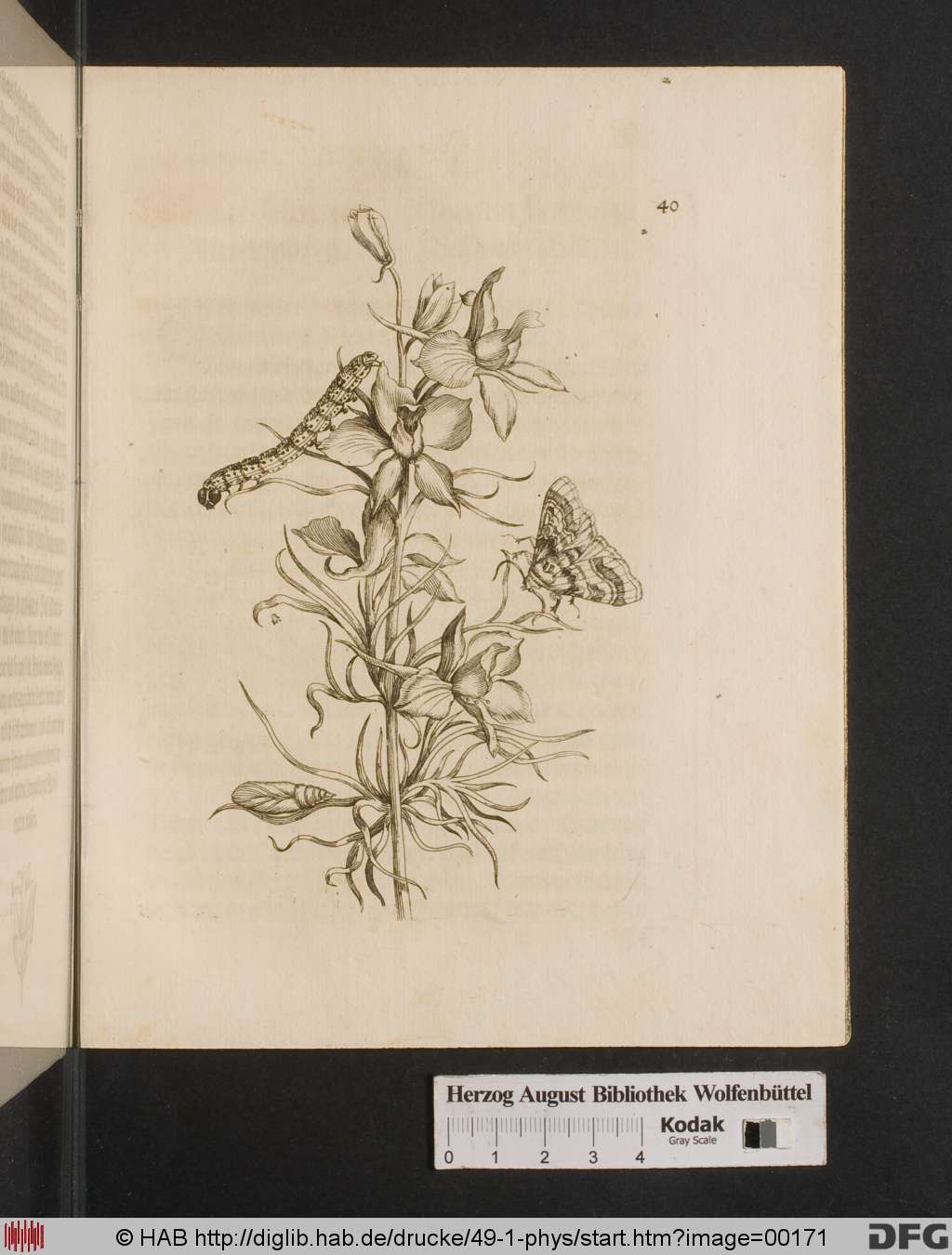 http://diglib.hab.de/drucke/49-1-phys/00171.jpg