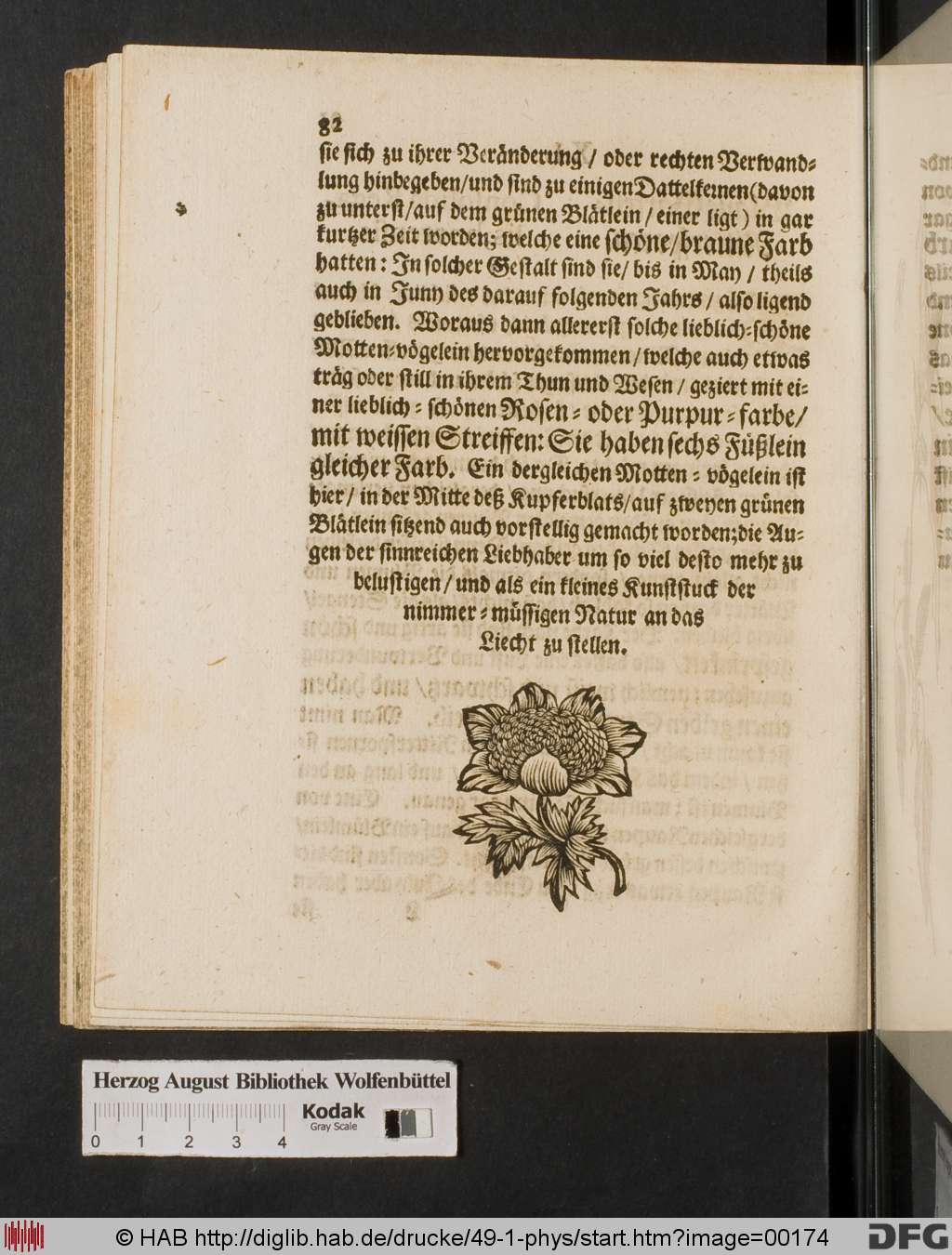 http://diglib.hab.de/drucke/49-1-phys/00174.jpg
