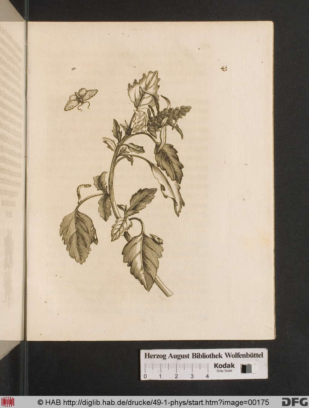 http://diglib.hab.de/drucke/49-1-phys/00175.jpg