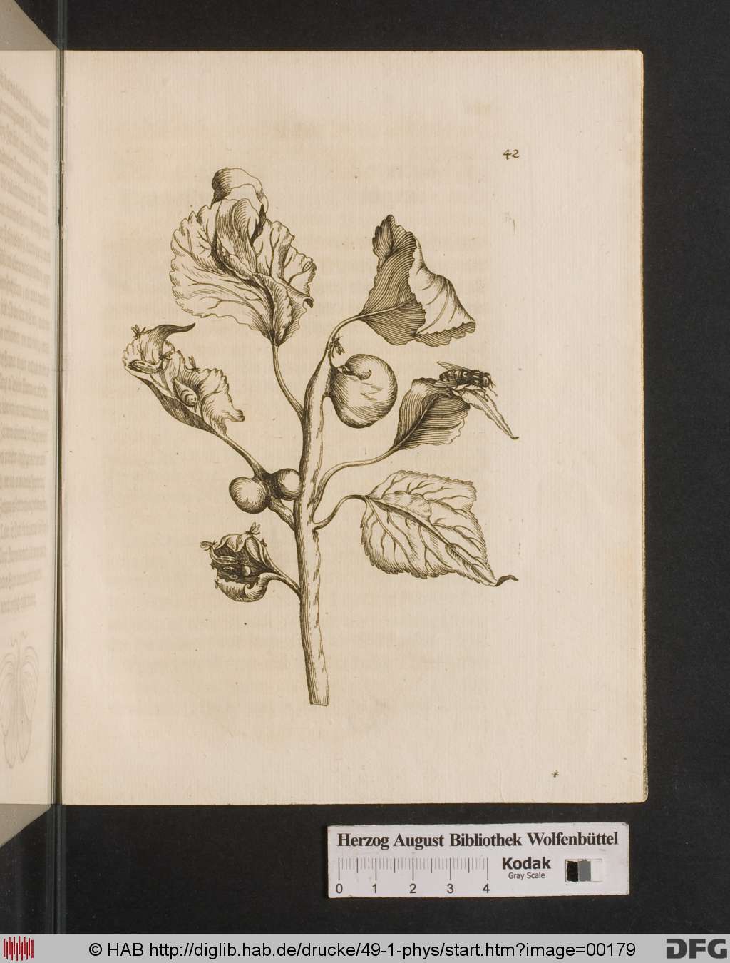 http://diglib.hab.de/drucke/49-1-phys/00179.jpg