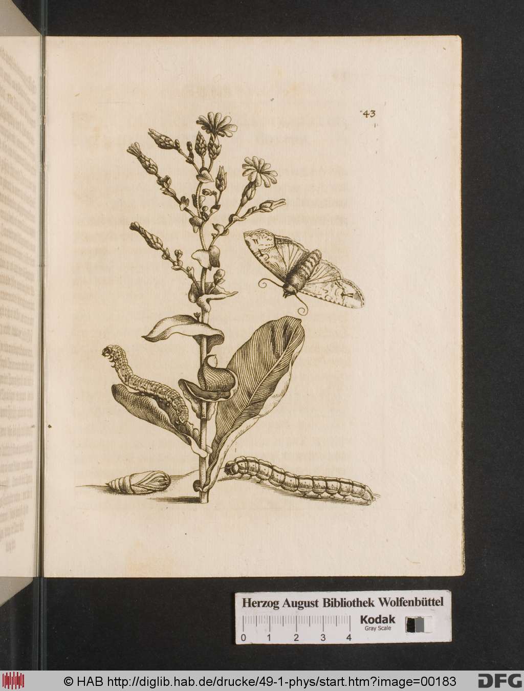 http://diglib.hab.de/drucke/49-1-phys/00183.jpg