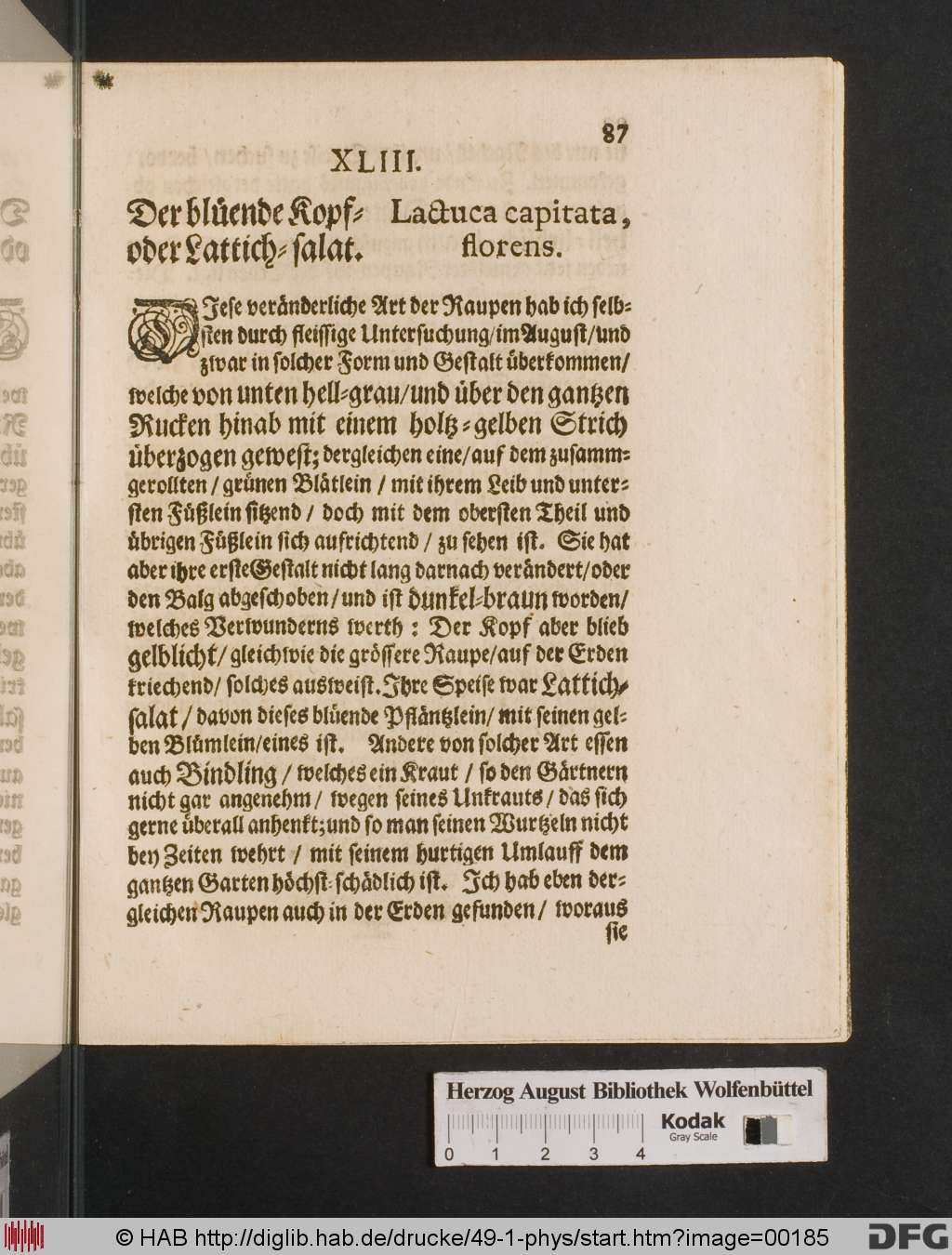 http://diglib.hab.de/drucke/49-1-phys/00185.jpg