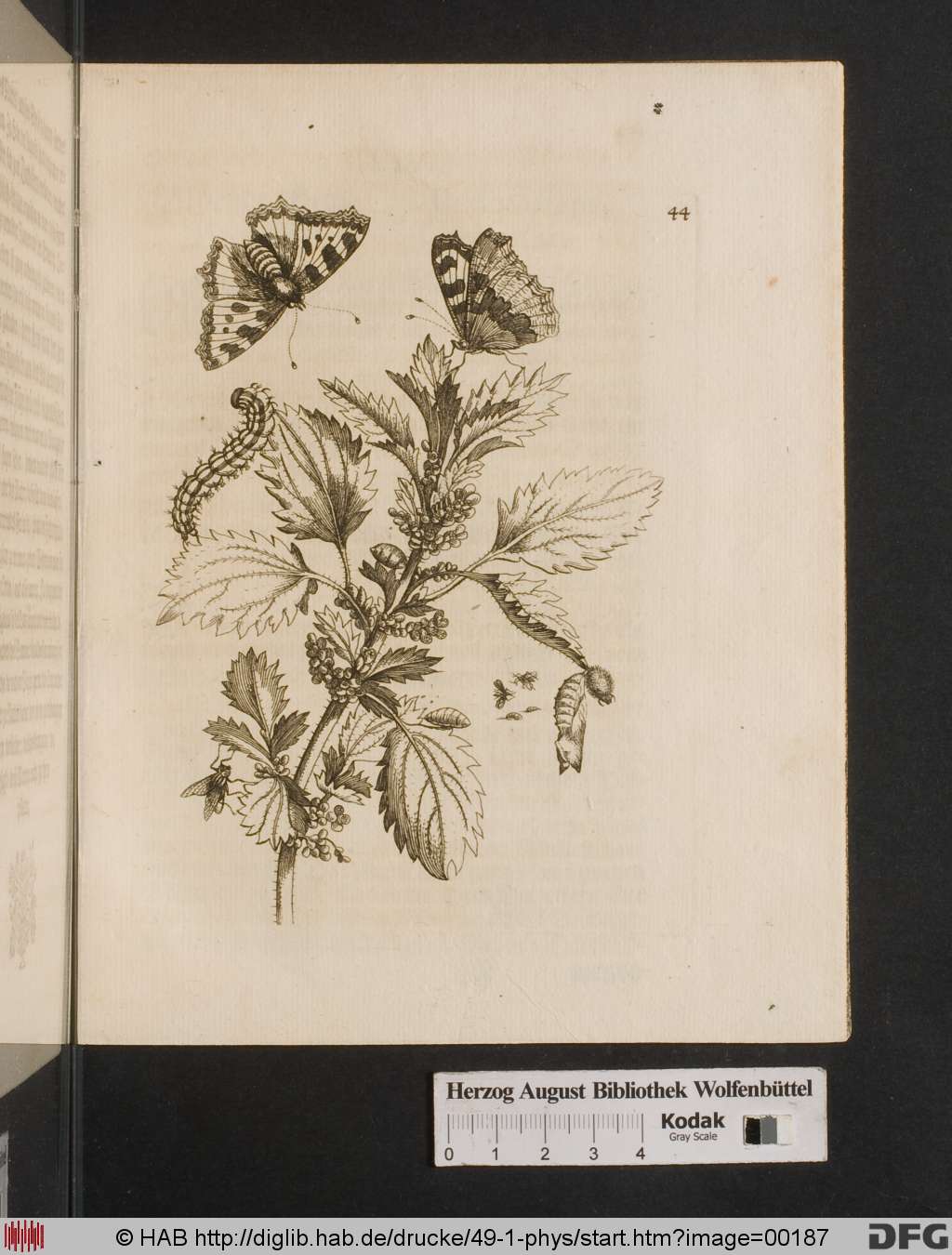 http://diglib.hab.de/drucke/49-1-phys/00187.jpg