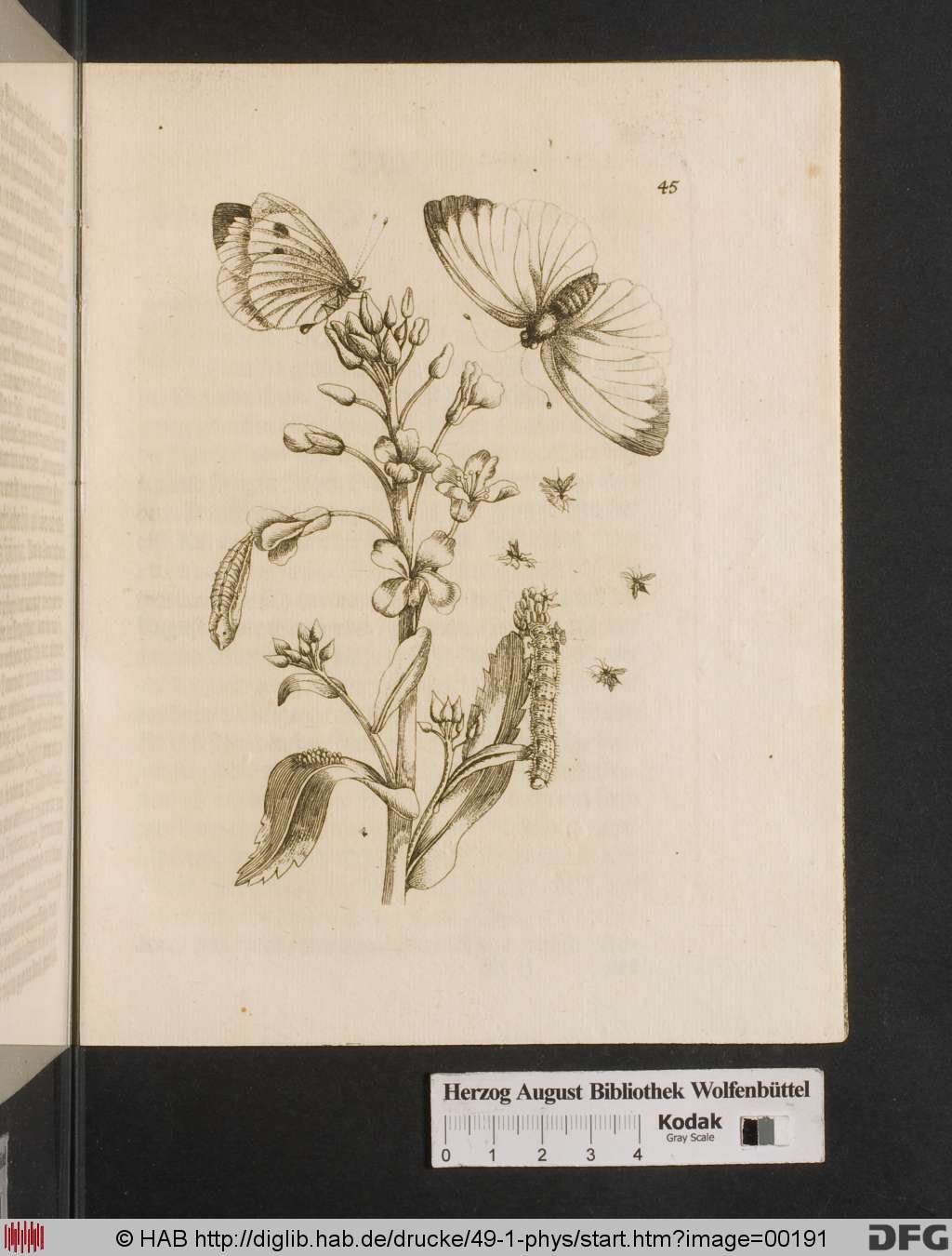 http://diglib.hab.de/drucke/49-1-phys/00191.jpg