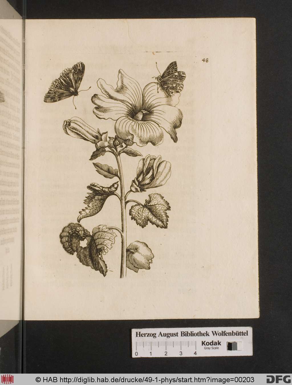 http://diglib.hab.de/drucke/49-1-phys/00203.jpg