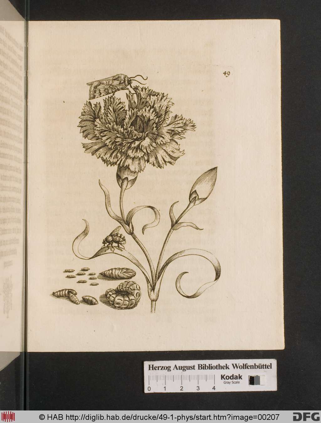 http://diglib.hab.de/drucke/49-1-phys/00207.jpg