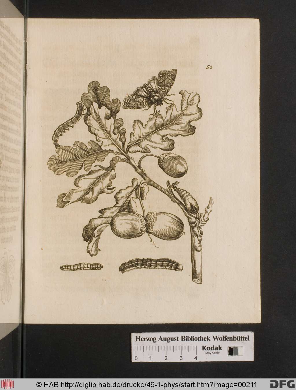 http://diglib.hab.de/drucke/49-1-phys/00211.jpg