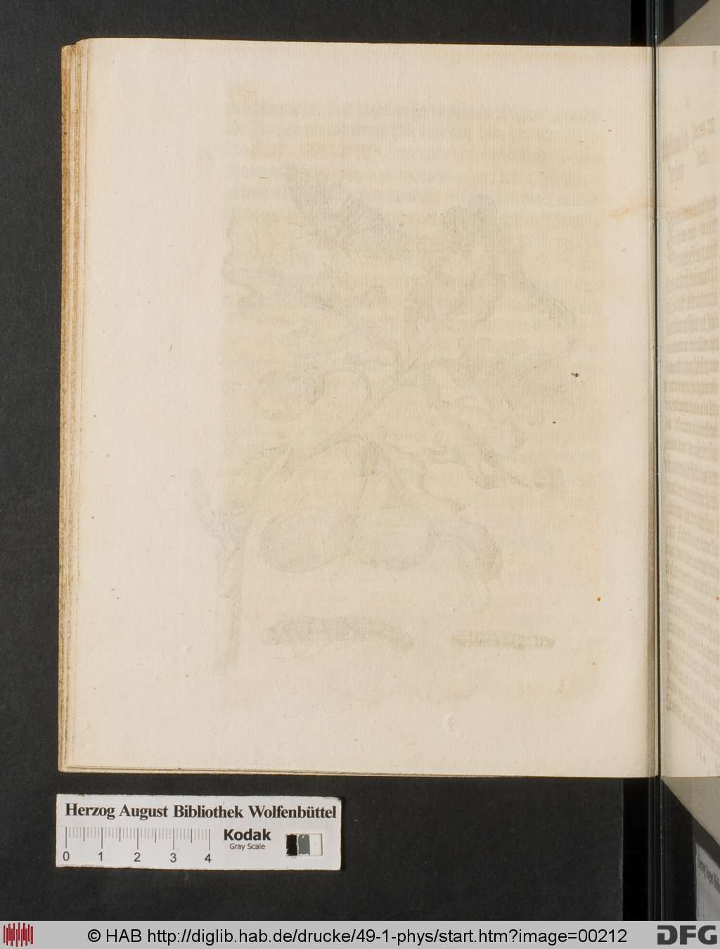 http://diglib.hab.de/drucke/49-1-phys/00212.jpg