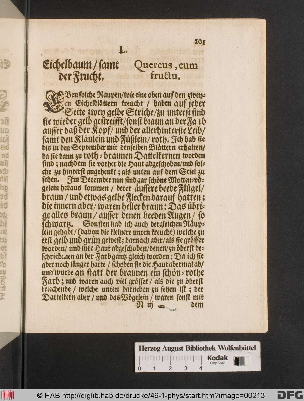 http://diglib.hab.de/drucke/49-1-phys/00213.jpg