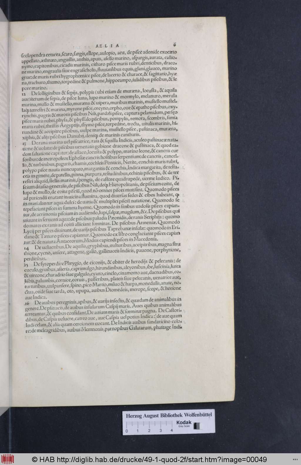http://diglib.hab.de/drucke/49-1-quod-2f/00049.jpg