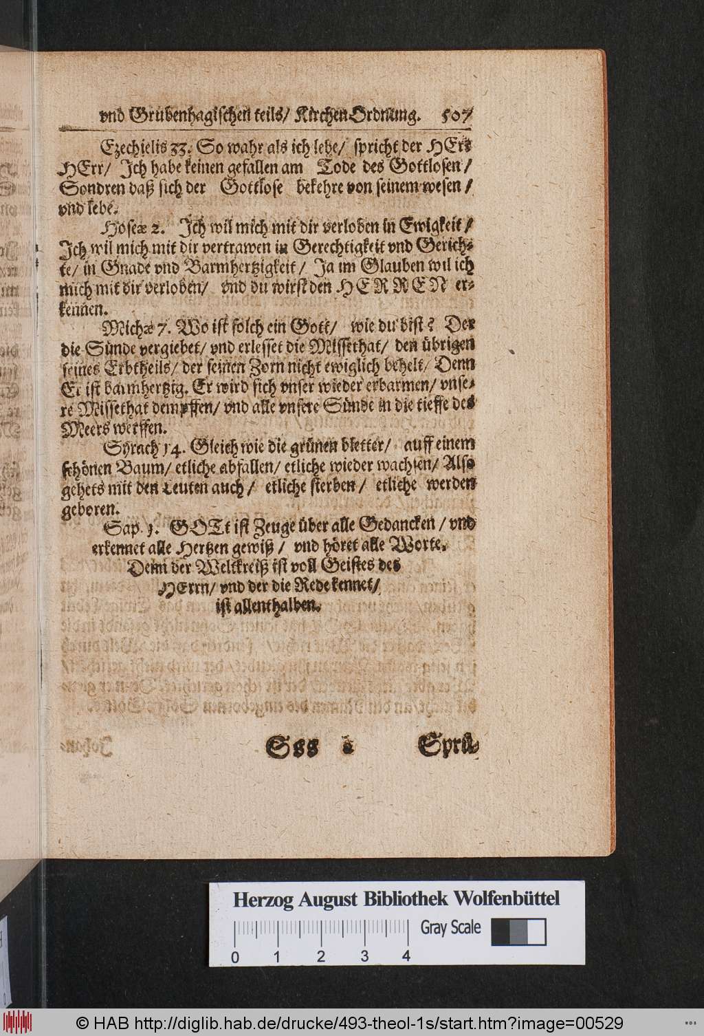 http://diglib.hab.de/drucke/493-theol-1s/00529.jpg