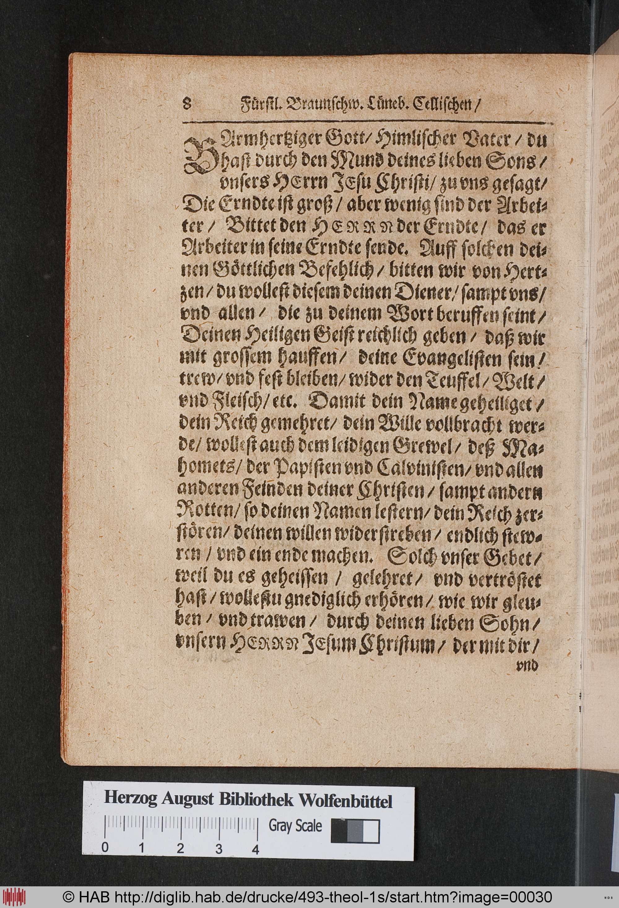http://diglib.hab.de/drucke/493-theol-1s/max/00030.jpg