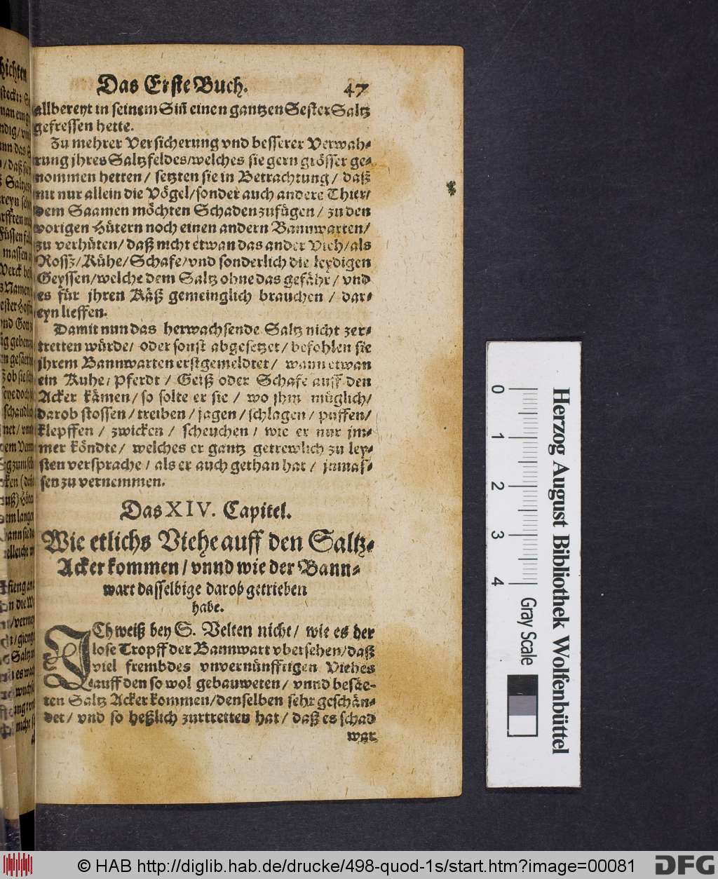 http://diglib.hab.de/drucke/498-quod-1s/00081.jpg