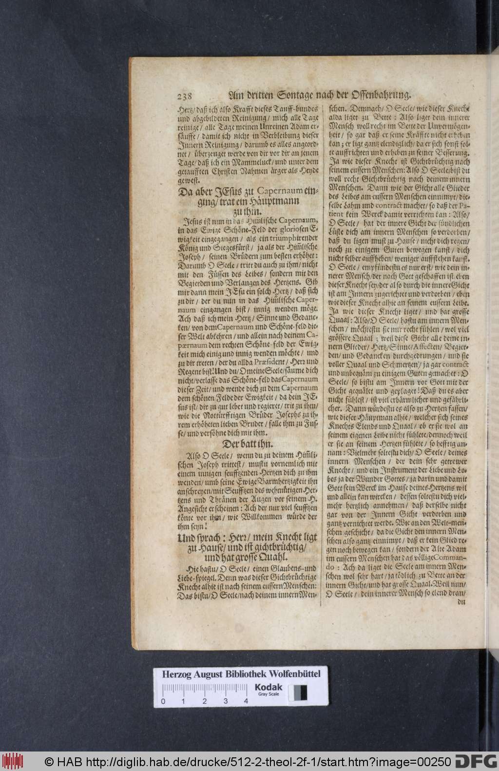 http://diglib.hab.de/drucke/512-2-theol-2f-1/00250.jpg