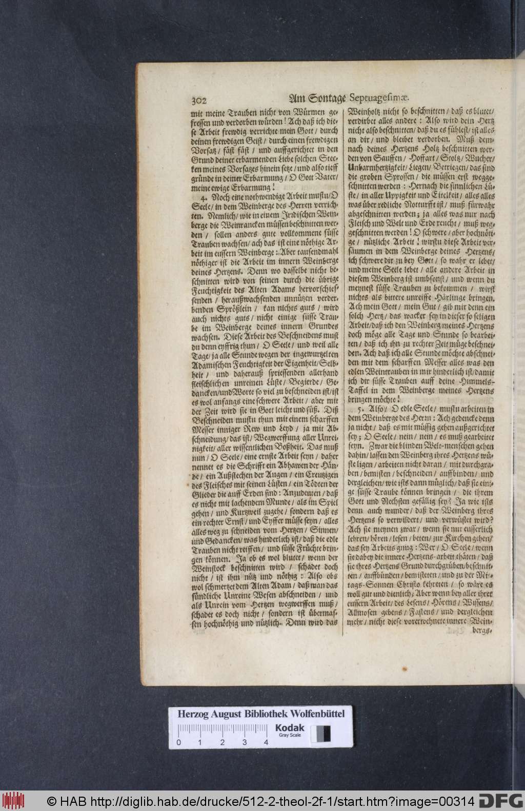 http://diglib.hab.de/drucke/512-2-theol-2f-1/00314.jpg