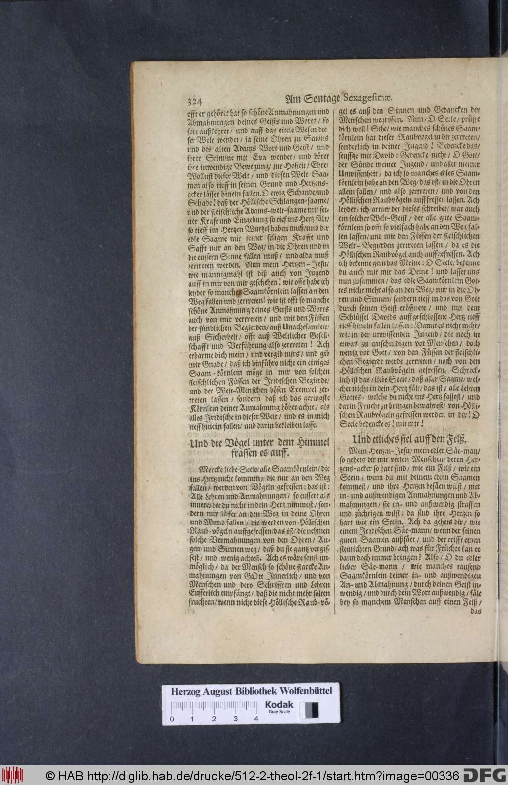 http://diglib.hab.de/drucke/512-2-theol-2f-1/00336.jpg