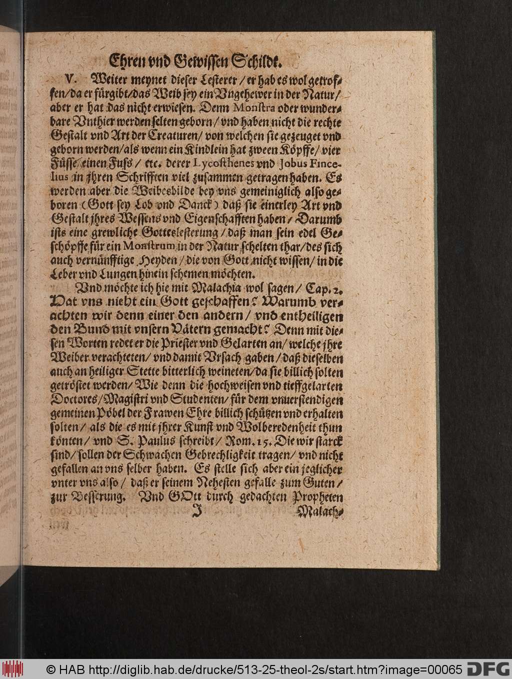 http://diglib.hab.de/drucke/513-25-theol-2s/00065.jpg