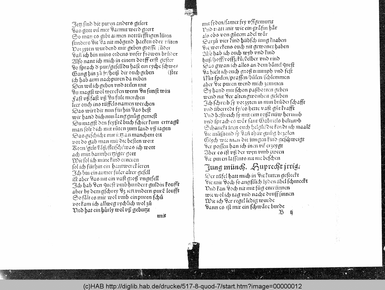 http://diglib.hab.de/drucke/517-8-quod-7/00000012.gif